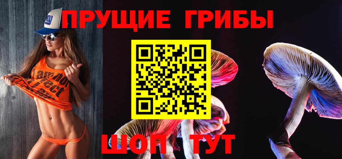 Алатырь  Псилоцибиновые грибы ЛСД  Вход с VPN 
