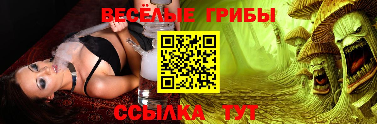 Галлюциногенные грибы MAGIC MUSHROOMS Алатырь